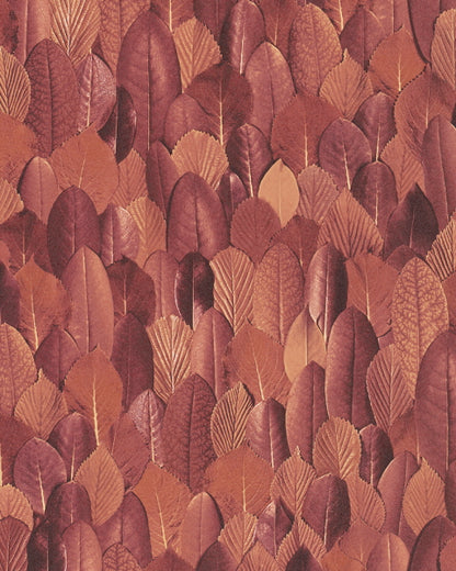 Papel Tapiz 31734
SCIROCCO