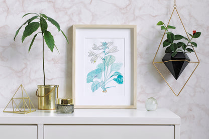Papel Tapiz 31738
SCIROCCO