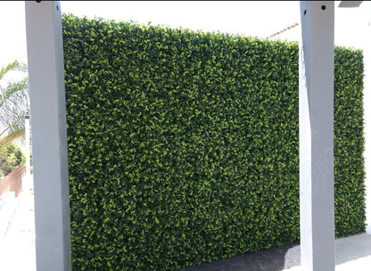Muros verdes