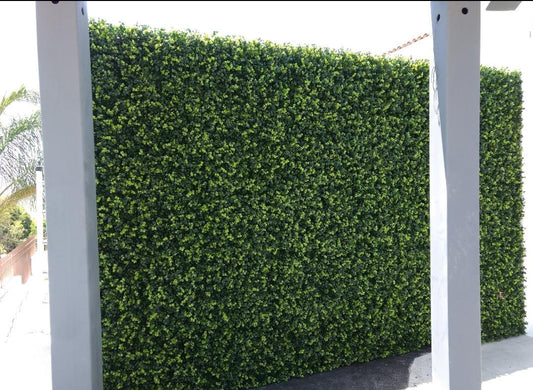 Muros verdes