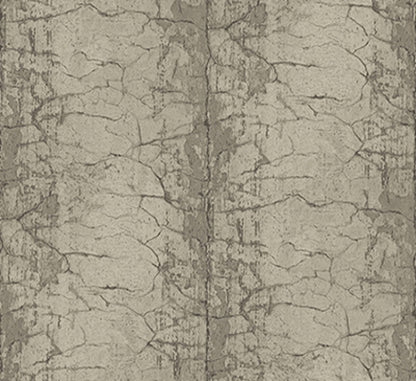 Papel Tapiz ir70710
MODERN FOUNDATION